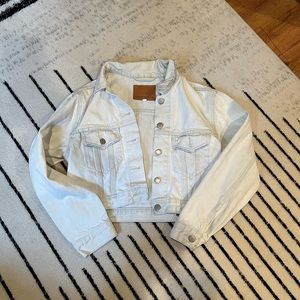 Aritzia Denim Forum Cropped Denim Jacket